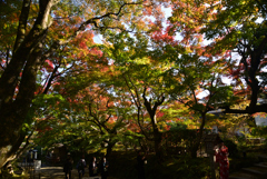 221111c常寂光寺36