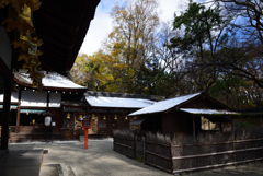 201217下鴨神社11
