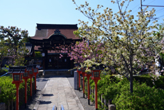 230409d六孫王神社15