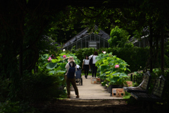 200712京都植物園49