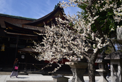 250314a北野天満宮35