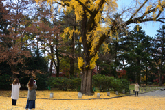 191204b京都御苑05