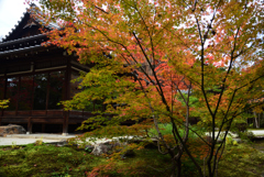 201113南禅寺50天授庵