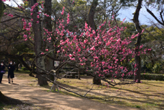 220222c京都御苑17