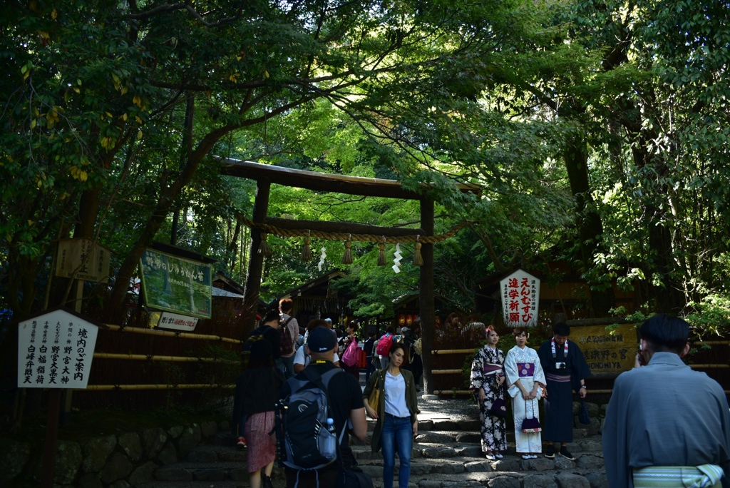 171027f野宮神社08