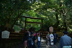 171027f野宮神社08