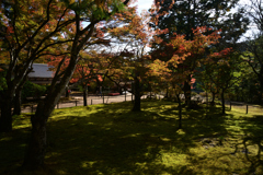 211106b神護寺34