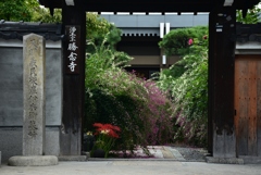 170923勝念寺23