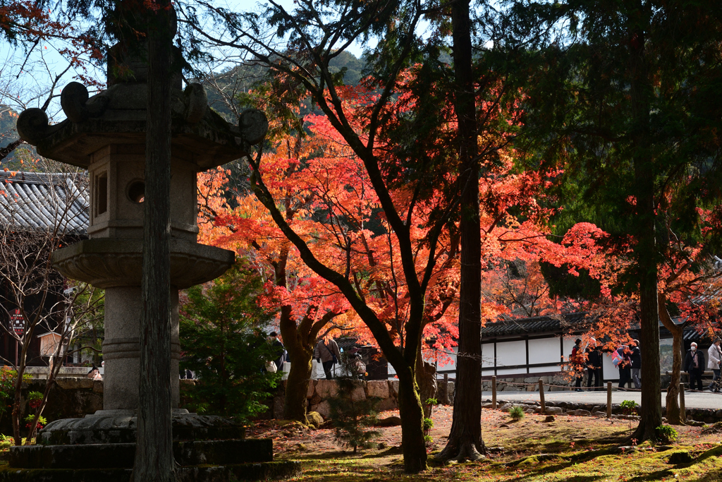 231130a南禅寺04