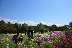 181009馬見丘陵05+