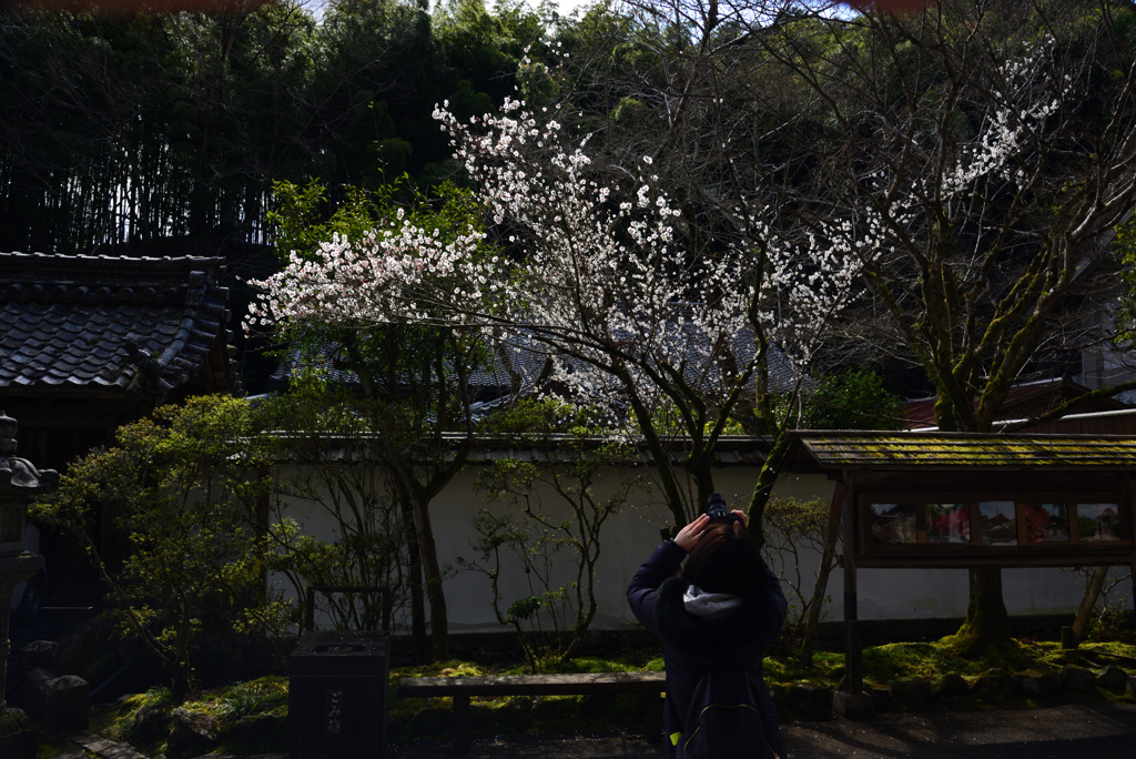 200228石山寺06