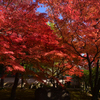 241203b相国寺08