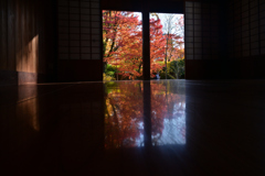 231202c京都御苑40