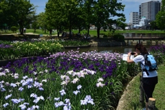 180603a白鷺公園45+