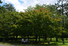 210905h京都御苑12