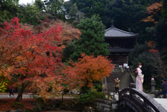 221127b知恩院08