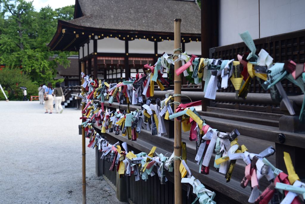 220819i下鴨神社49