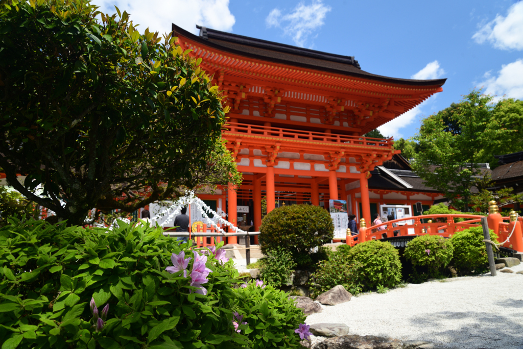 220503a上賀茂神社14