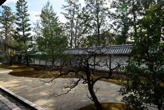 190205b妙心寺龍泉庵32