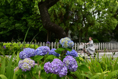 230525a上御霊神社10