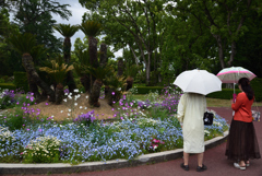 190519京都植物園02
