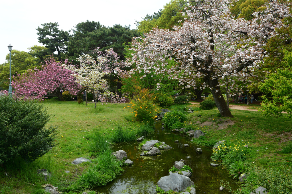 250418a京都御苑31