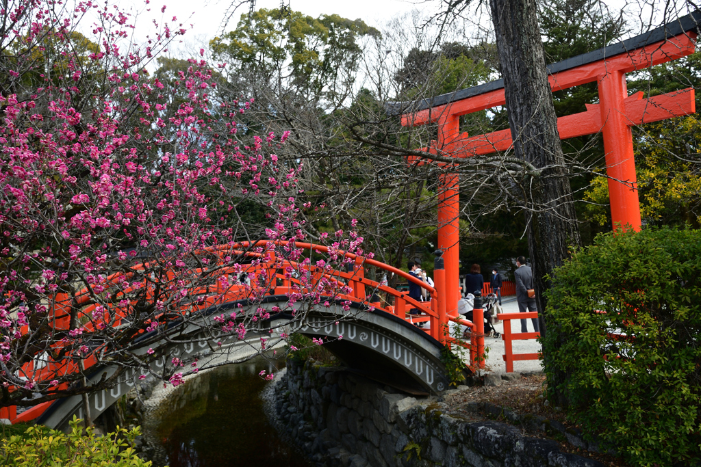 230305b下鴨神社28
