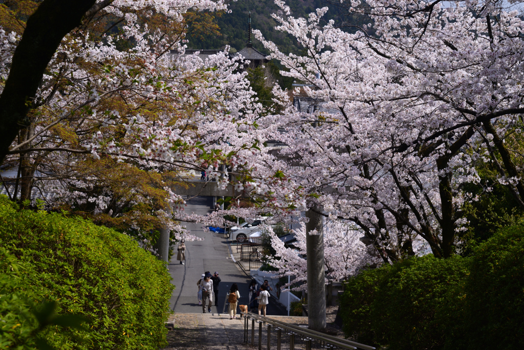 230330c宗忠神社08