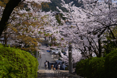 230330c宗忠神社08