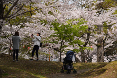 190408b膳所城跡29