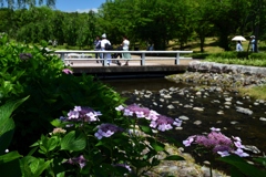 180616万博公園04+