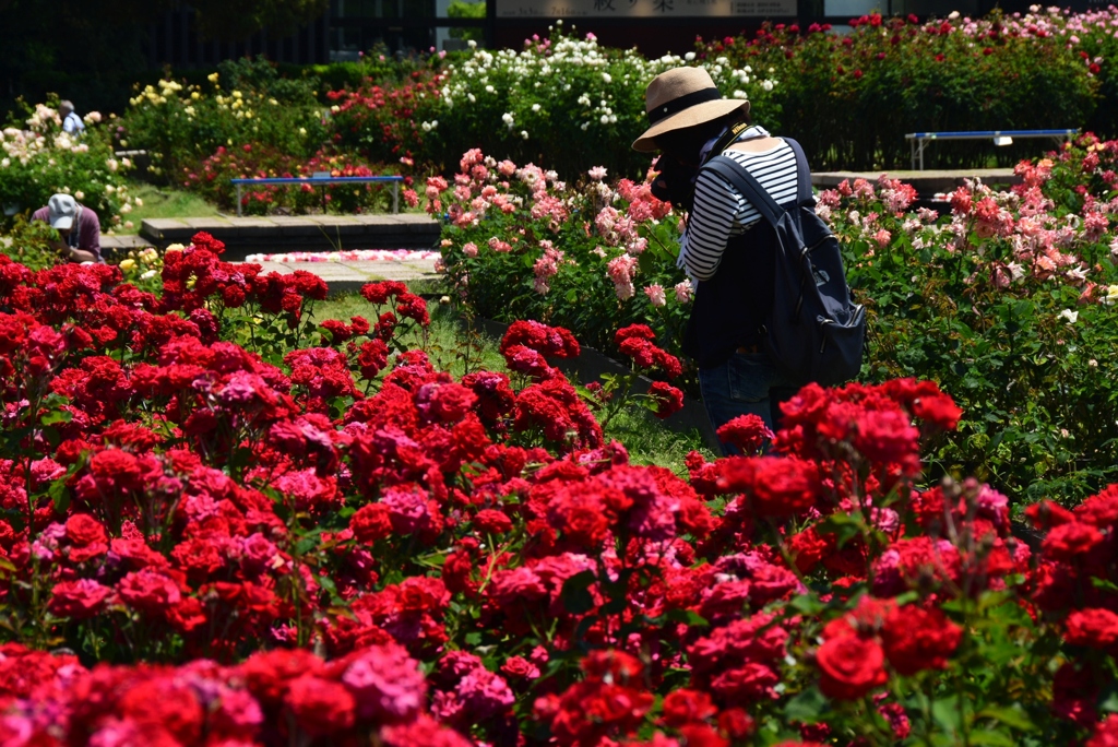 180525万博公園13
