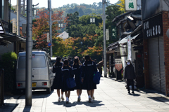 221028a平等院01