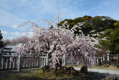 200411久世神社19
