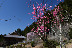 230315石山寺30