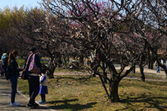 220226万博公園56