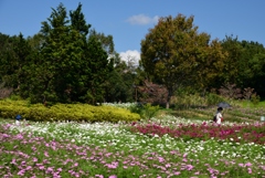 181009馬見丘陵42+