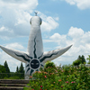 250712万博公園48