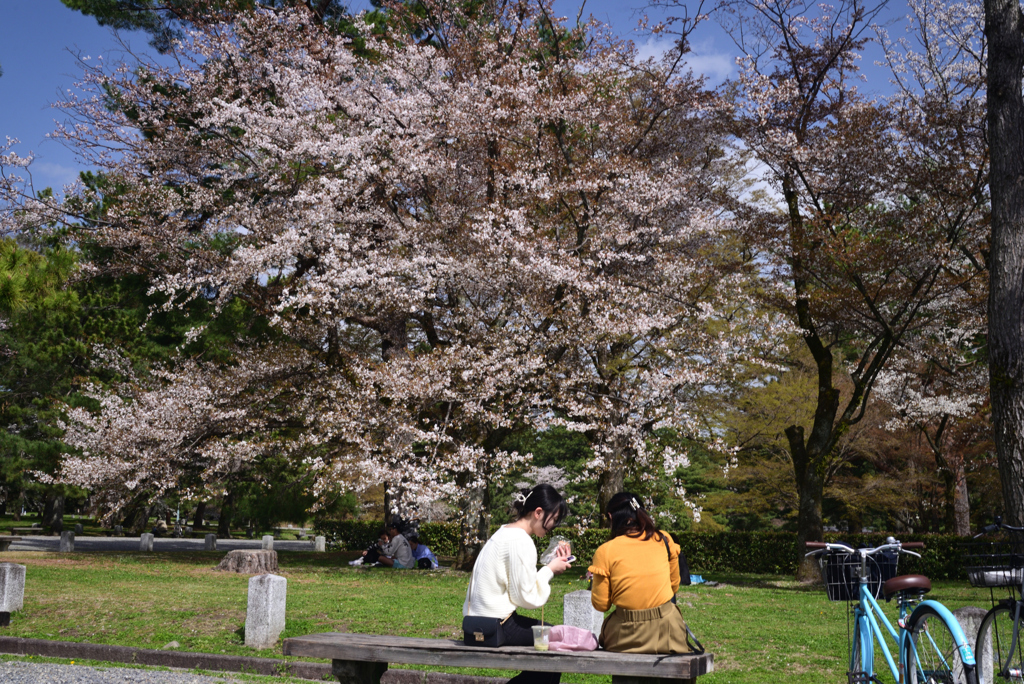 230327a京都御苑19