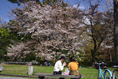 230327a京都御苑19