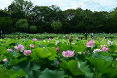 250712万博公園22