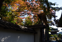191109c清凉寺07