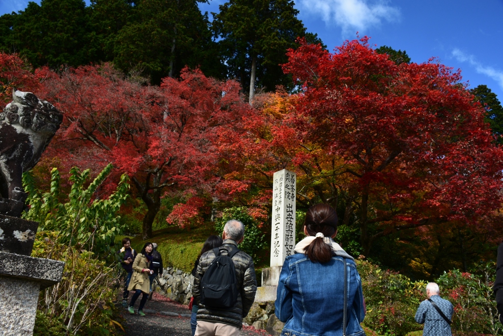 171112a善峯寺56