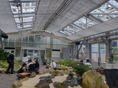 250814府立植物園1