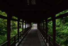 190713a東福寺30