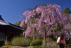 200325c法金剛院48