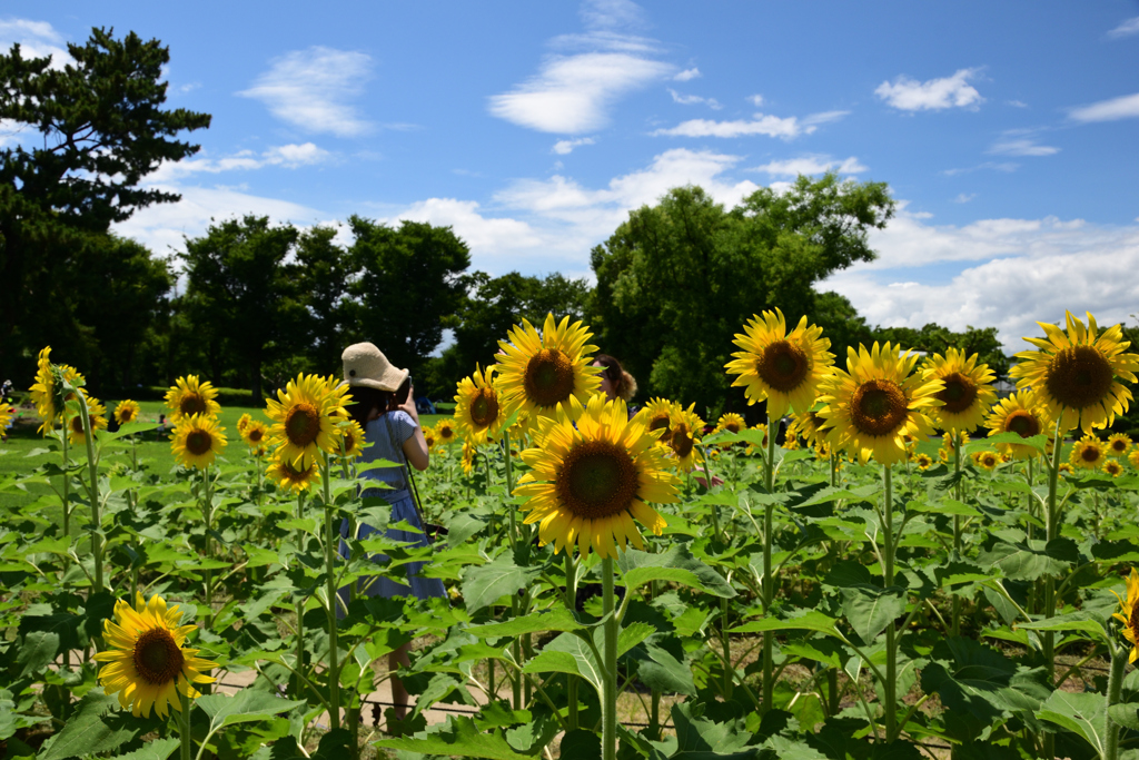 210717万博公園66