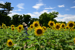 210717万博公園66