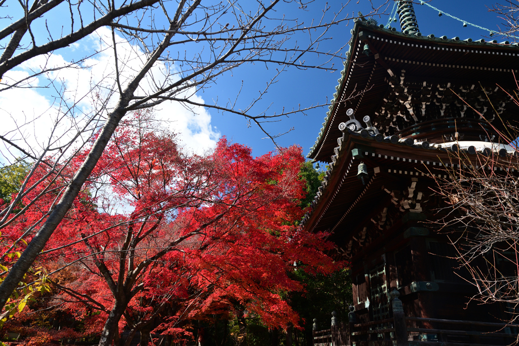 231204a清凉寺01