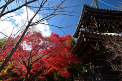 231204a清凉寺01